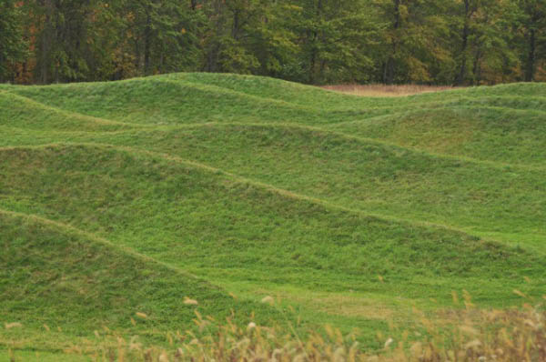 Waves by Maya Lin