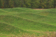 Waves by Maya Lin